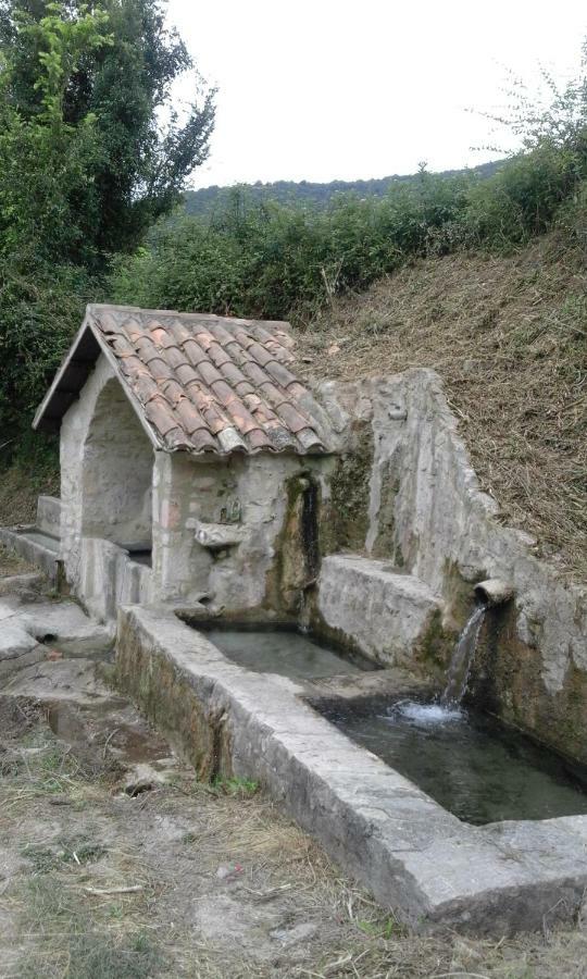 Agriturismo Terramia Meggiano Экстерьер фото